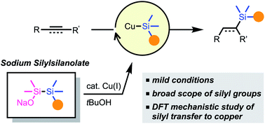 Graphical abstract: Sodium silylsilanolate as a precursor of silylcopper species