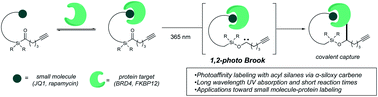 Graphical abstract: Photo-Brook rearrangement of acyl silanes as a strategy for photoaffinity probe design