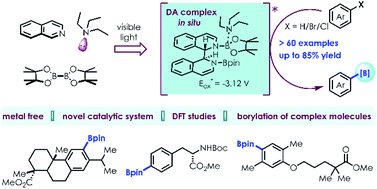 Graphical abstract: Photoinduced metal-free borylation of aryl halides catalysed by an in situ formed donor–acceptor complex