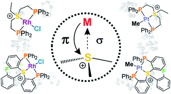 Graphical abstract: Sulfonium cations as versatile strongly π-acidic ligands