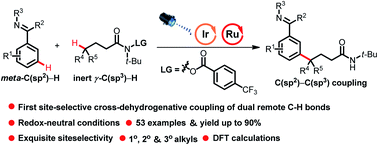 Graphical abstract: Site-selective coupling of remote C(sp3)–H/meta-C(sp2)–H bonds enabled by Ru/photoredox dual catalysis and mechanistic studies