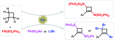 Graphical abstract: Copper-catalyzed radical cascade reaction of simple cyclobutanes: synthesis of highly functionalized cyclobutene derivatives