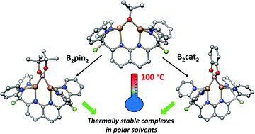 Graphical abstract: Robust dicopper(i) μ-boryl complexes supported by a dinucleating naphthyridine-based ligand