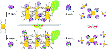 Graphical abstract: CPL on/off control of an assembled system by water soluble macrocyclic chiral sources with planar chirality