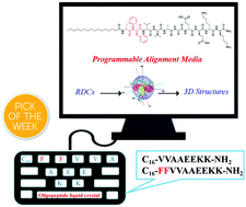 Graphical abstract: Programmable alignment media from self-assembled oligopeptide amphiphiles for the measurement of independent sets of residual dipolar couplings in organic solvents