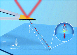 Graphical abstract: Angle-dependent strength of a single chemical bond by stereographic force spectroscopy