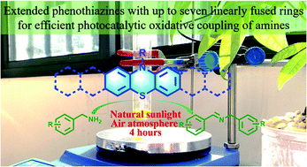 Graphical abstract: Extended phenothiazines: synthesis, photophysical and redox properties, and efficient photocatalytic oxidative coupling of amines