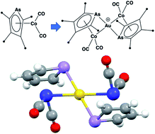Graphical abstract: Arsolyl-supported intermetallic dative bonding