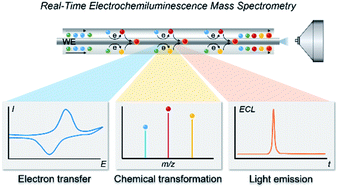 Graphical abstract: Insights into electrochemiluminescence dynamics by synchronizing real-time electrical, luminescence, and mass spectrometric measurements