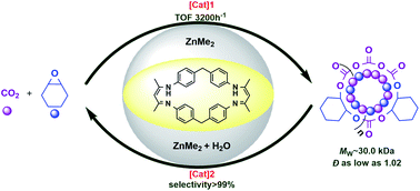 Graphical abstract: A sustainable approach for the synthesis of recyclable cyclic CO2-based polycarbonates