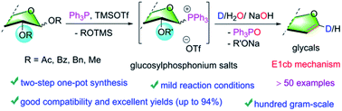 Graphical abstract: P(v) intermediate-mediated E1cB elimination for the synthesis of glycals