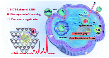 Graphical abstract: A bioinspired hollow g-C3N4–CuPc heterostructure with remarkable SERS enhancement and photosynthesis-mimicking properties for theranostic applications