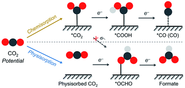 Graphical abstract: Why heterogeneous single-atom catalysts preferentially produce CO in the electrochemical CO2 reduction reaction