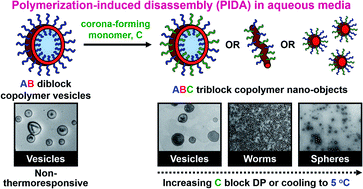 Graphical abstract: Polymerization-induced self-assembly and disassembly during the synthesis of thermoresponsive ABC triblock copolymer nano-objects in aqueous solution