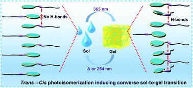 Graphical abstract: Acylhydrazone-based supramolecular assemblies undergoing a converse sol-to-gel transition on trans → cis photoisomerization