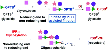 Graphical abstract: Recyclable fluorous-tag assisted two-directional oligosaccharide synthesis enabled by interrupted Pummerer reaction mediated glycosylation