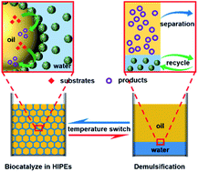 Graphical abstract: Temperature-responsive Pickering high internal phase emulsions for recyclable efficient interfacial biocatalysis
