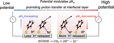 Graphical abstract: Accelerated interfacial proton transfer for promoting electrocatalytic activity