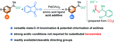 Graphical abstract: Pd(ii)-catalyzed meta-C–H bromination and chlorination of aniline and benzoic acid derivatives