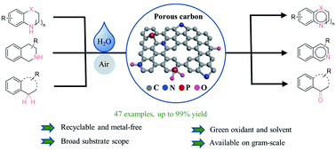 Graphical abstract: Catalytic oxidative dehydrogenation of N-heterocycles with nitrogen/phosphorus co-doped porous carbon materials