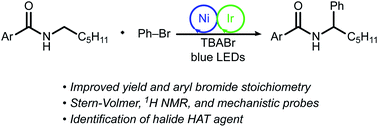 Graphical abstract: Investigations into mechanism and origin of regioselectivity in the metallaphotoredox-catalyzed α-arylation of N-alkylbenzamides