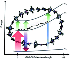 Graphical abstract: Population and coherence dynamics in large conjugated porphyrin nanorings