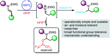 Graphical abstract: Hydroarylation of enamides enabled by HFIP via a hexafluoroisopropyl ether as iminium reservoir
