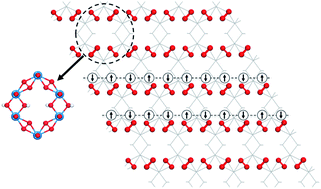 Graphical abstract: Theoretical prediction of a graphene-like 2D uranyl material with p-orbital antiferromagnetism