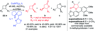 Graphical abstract: Cu(ii)/SPDO complex catalyzed asymmetric Baeyer–Villiger oxidation of 2-arylcyclobutanones and its application for the total synthesis of eupomatilones 5 and 6