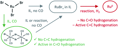 Graphical abstract: Evolution of the active species of homogeneous Ru hydrodeoxygenation catalysts in ionic liquids