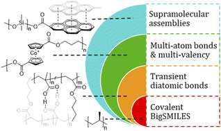 Graphical abstract: Extending BigSMILES to non-covalent bonds in supramolecular polymer assemblies