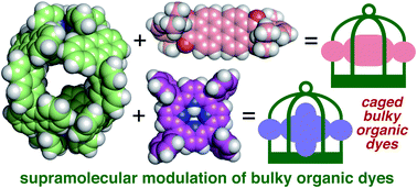 Graphical abstract: Caged bulky organic dyes in a polyaromatic framework and their spectroscopic peculiarities
