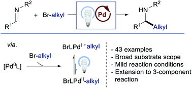 Graphical abstract: Excited-state palladium-catalysed reductive alkylation of imines: scope and mechanism