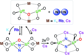 Graphical abstract: Cation assisted binding and cleavage of dinitrogen by uranium complexes