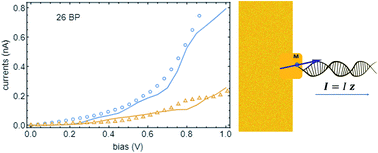 Graphical abstract: Spinterface chirality-induced spin selectivity effect in bio-molecules