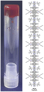 Graphical abstract: Molecular nanoribbon gels