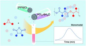 Graphical abstract: Simple yttrium salts as highly active and controlled catalysts for the atom-efficient synthesis of high molecular weight polyesters
