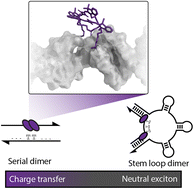 Graphical abstract: Activating charge-transfer state formation in strongly-coupled dimers using DNA scaffolds
