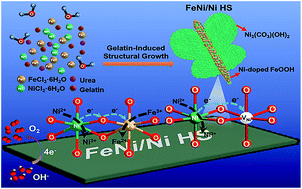 Graphical abstract: Heterostructured FeNi hydroxide for effective electrocatalytic oxygen evolution