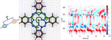 Graphical abstract: Coherent ring-current migration of Mg-phthalocyanine probed by time-resolved X-ray circular dichroism