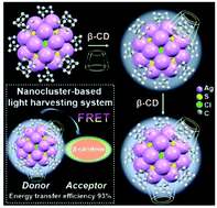 Graphical abstract: An atomically precise silver nanocluster for artificial light-harvesting system through supramolecular functionalization