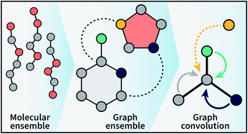 Graphical abstract: A graph representation of molecular ensembles for polymer property prediction