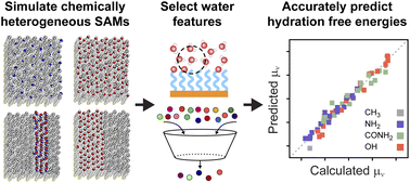 Graphical abstract: Structural features of interfacial water predict the hydrophobicity of chemically heterogeneous surfaces