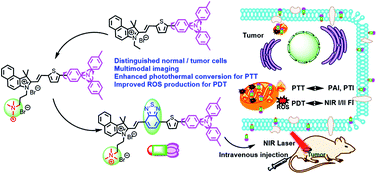 Graphical abstract: Single-molecule photosensitizers for NIR-II fluorescence and photoacoustic imaging guided precise anticancer phototherapy