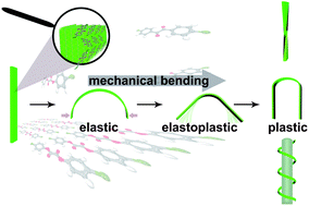 Graphical abstract: Flexible organic crystals. Understanding the tractable co-existence of elastic and plastic bending