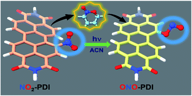 Graphical abstract: Solvent dielectric delimited nitro–nitrito photorearrangement in a perylenediimide derivative