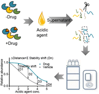 Graphical abstract: Highly effective identification of drug targets at the proteome level by pH-dependent protein precipitation