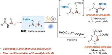 Graphical abstract: Visible-light-induced dual catalysis for N-α C(sp3)–H amination and alkenylation of N-alkyl benzamides