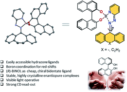 Graphical abstract: Visible light activated BINOL-derived chiroptical switches based on boron integrated hydrazone complexes