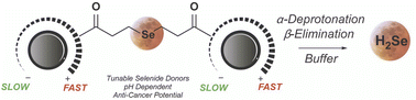 Graphical abstract: Enol-mediated delivery of H2Se from γ-keto selenides: mechanistic insight and evaluation